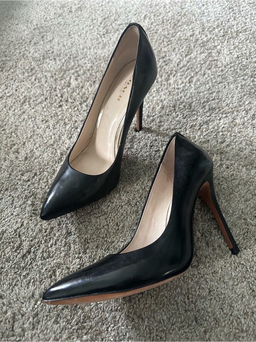 Coach Harlee Black Pointed-Toe Leather Stiletto Pumps